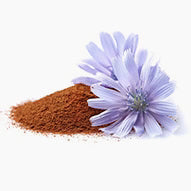 Chicory Inulin Powder